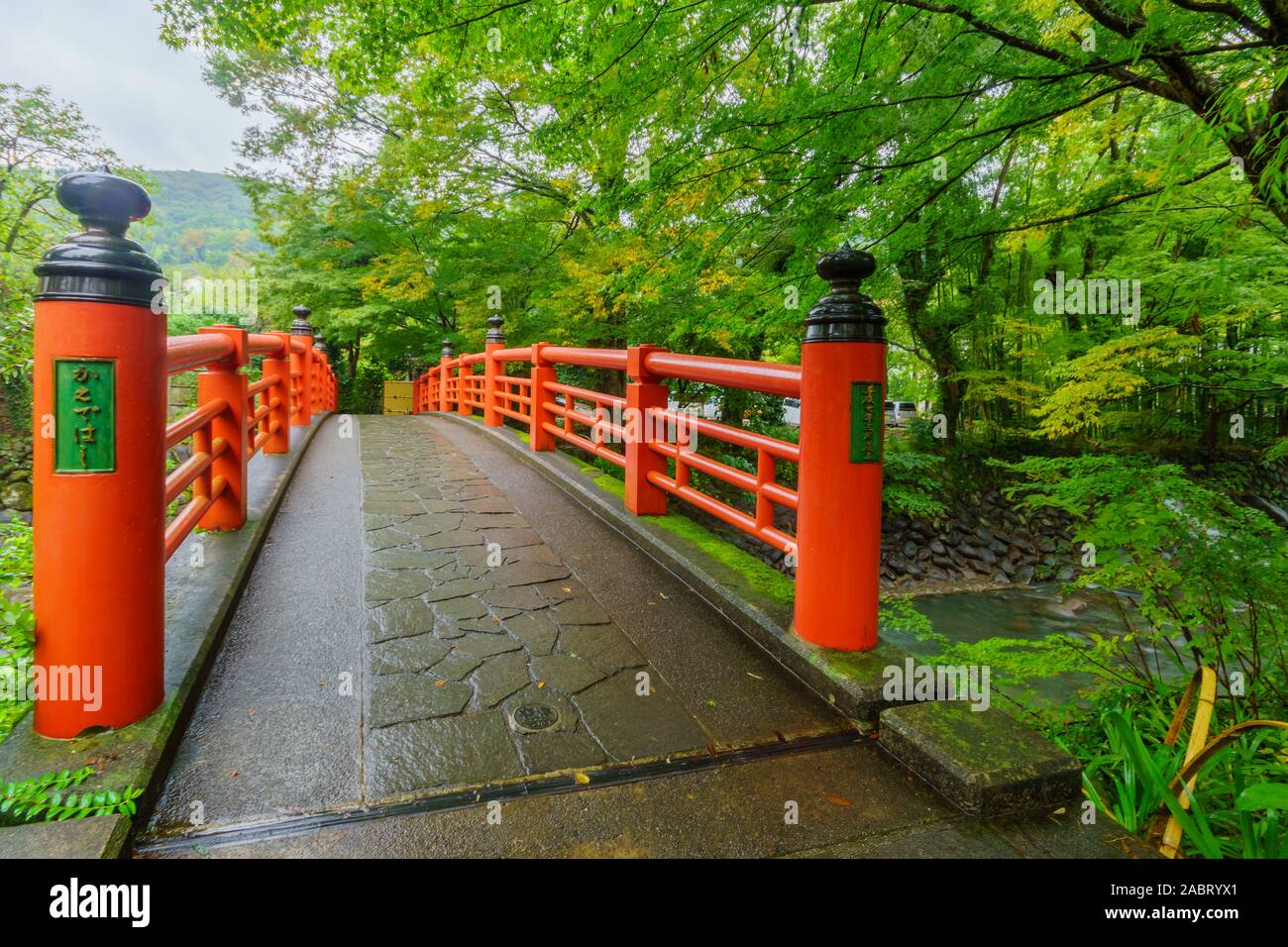 Shuzenji, Giappone - 18 Ottobre 2019: vista di un ponte sopra il fiume Katsura, in Shuzenji, Penisola di Izu, Giappone Foto Stock
