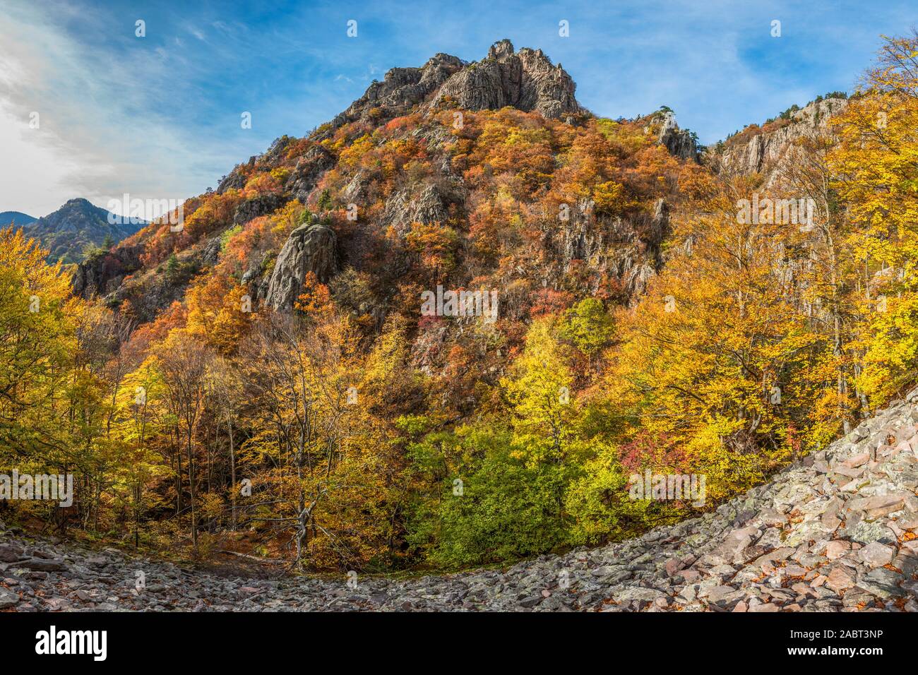 Paesaggio in foresta Frakto a Rodopi mountain range parco nazionale in Grecia Foto Stock