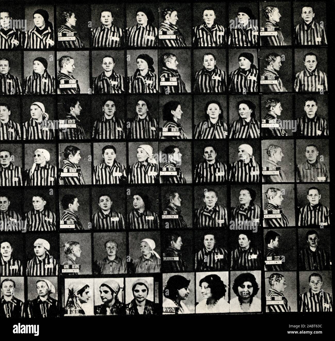 Fotografie delle vittime del genocidio in Aushwitz-birkenau Foto Stock