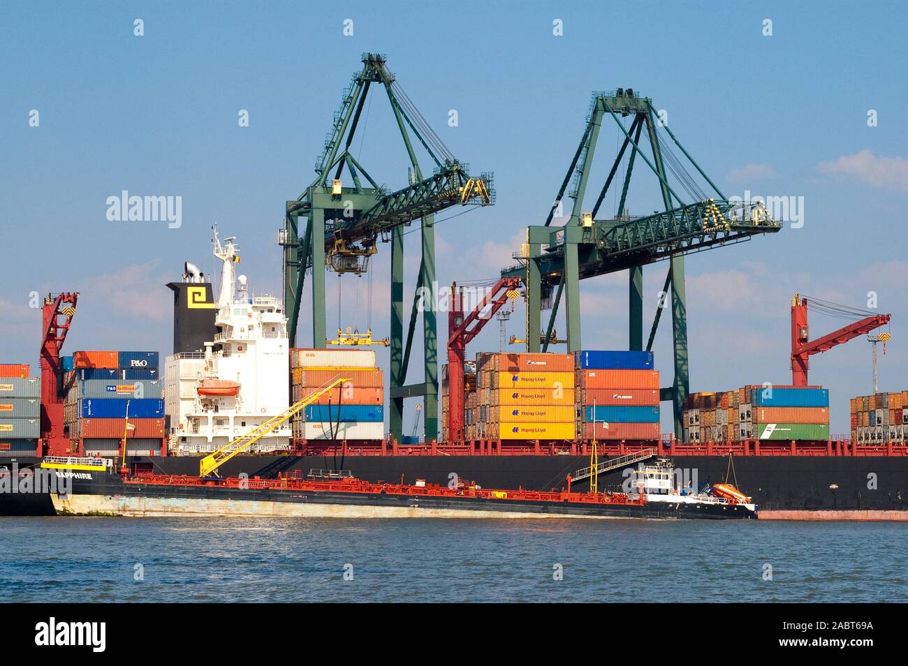 Gru e contenitori al terminal di container Deurganckdok, fiume Schelde, porto di Anversa, Belgio Foto Stock