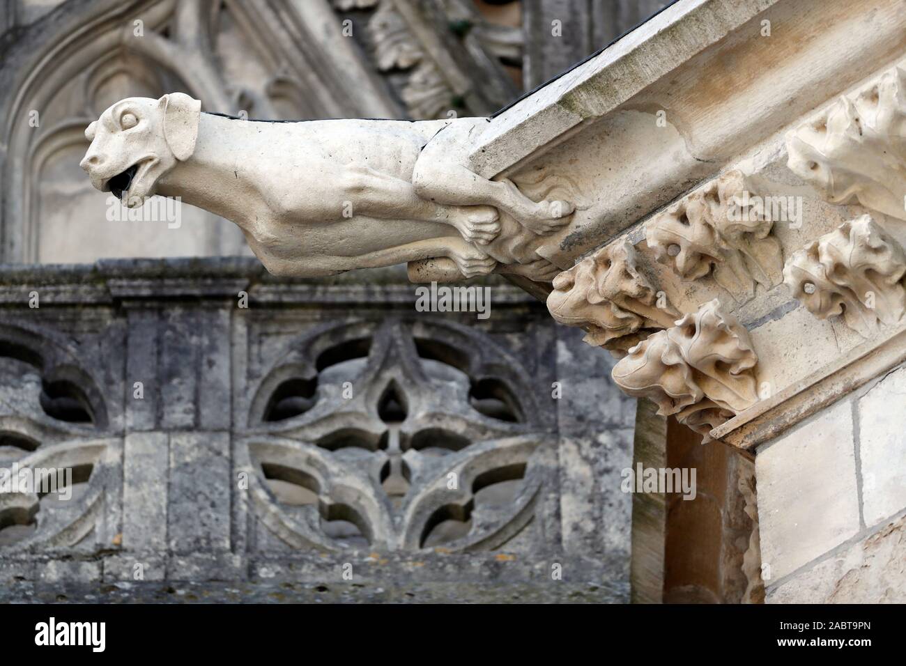 Cattedrale di Santa Croce di Orleans. Gargoyle. Stile architettonico gotico. Orleans. La Francia. Foto Stock