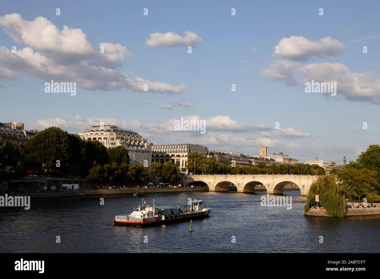 Senna a Parigi, Francia. Foto Stock