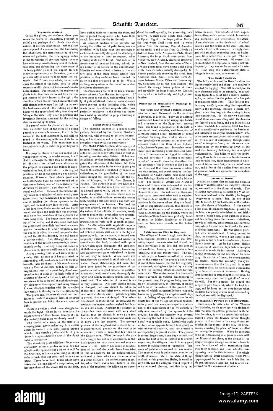 Istinto di vegetali. Modello Giardino di patate. Scoperta delle mummie a Durango in Messico. Incendio sotterraneo in Inghilterra. La Banca deglutire. Il fascino della musica. Notevole potere di Ventriloquism., Scientific American, 1848-07-22 Foto Stock