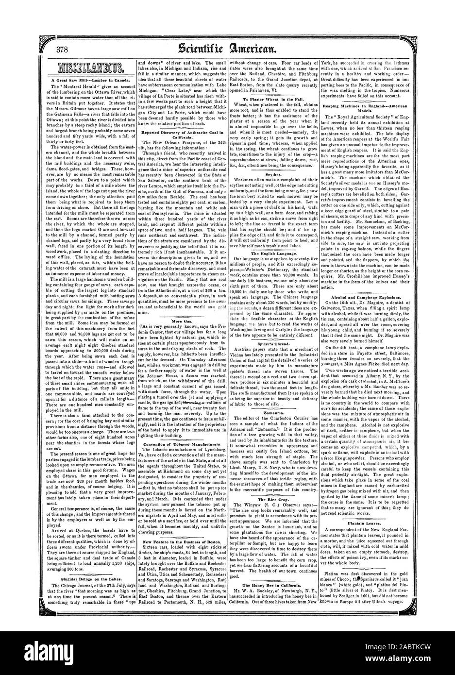 R378 Una grande segheria-Legname in Canada. Ha riportato la scoperta di Antracite Carbone in California. Convenzione dei produttori di tabacco. Nuova funzionalità di business di Boston. Per gesso duro in autunno. Spider's Thread. La coltura del riso. Il miele delle api in California. I modelli. Alcol e Camphen.e le esplosioni. Piantaggine foglie. Singolare opere sui laghi., Scientific American, 1852-08-14 Foto Stock