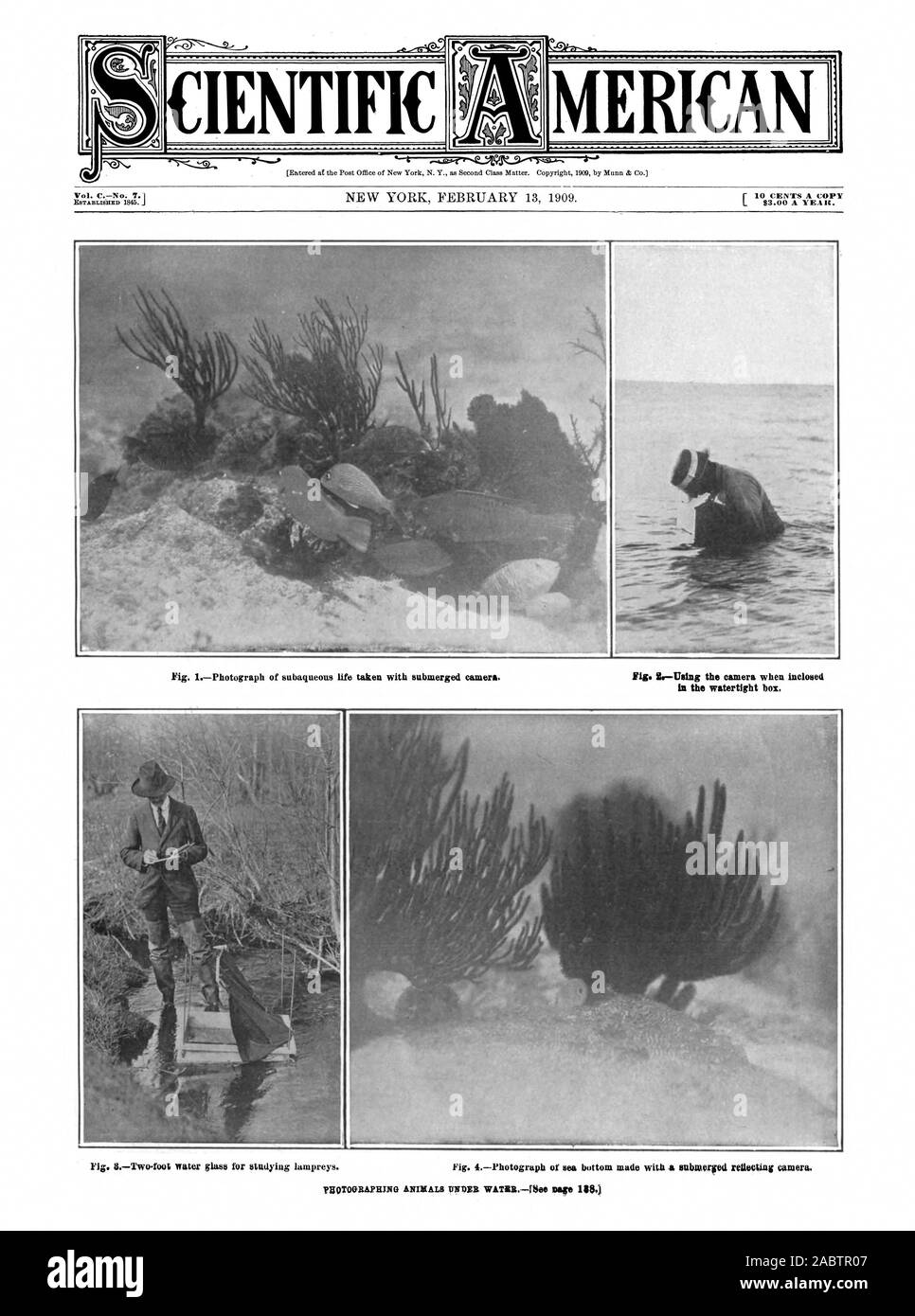 MERICAN SCIENTIFICA Vol. CNo. 7.1 83.00 l'anno. Nella scatola stagna. Pg()TOORAFEING ANIMALI IINANB WAIIRRFbee pagina 3.), Scientific American, -1909-02-13 Foto Stock