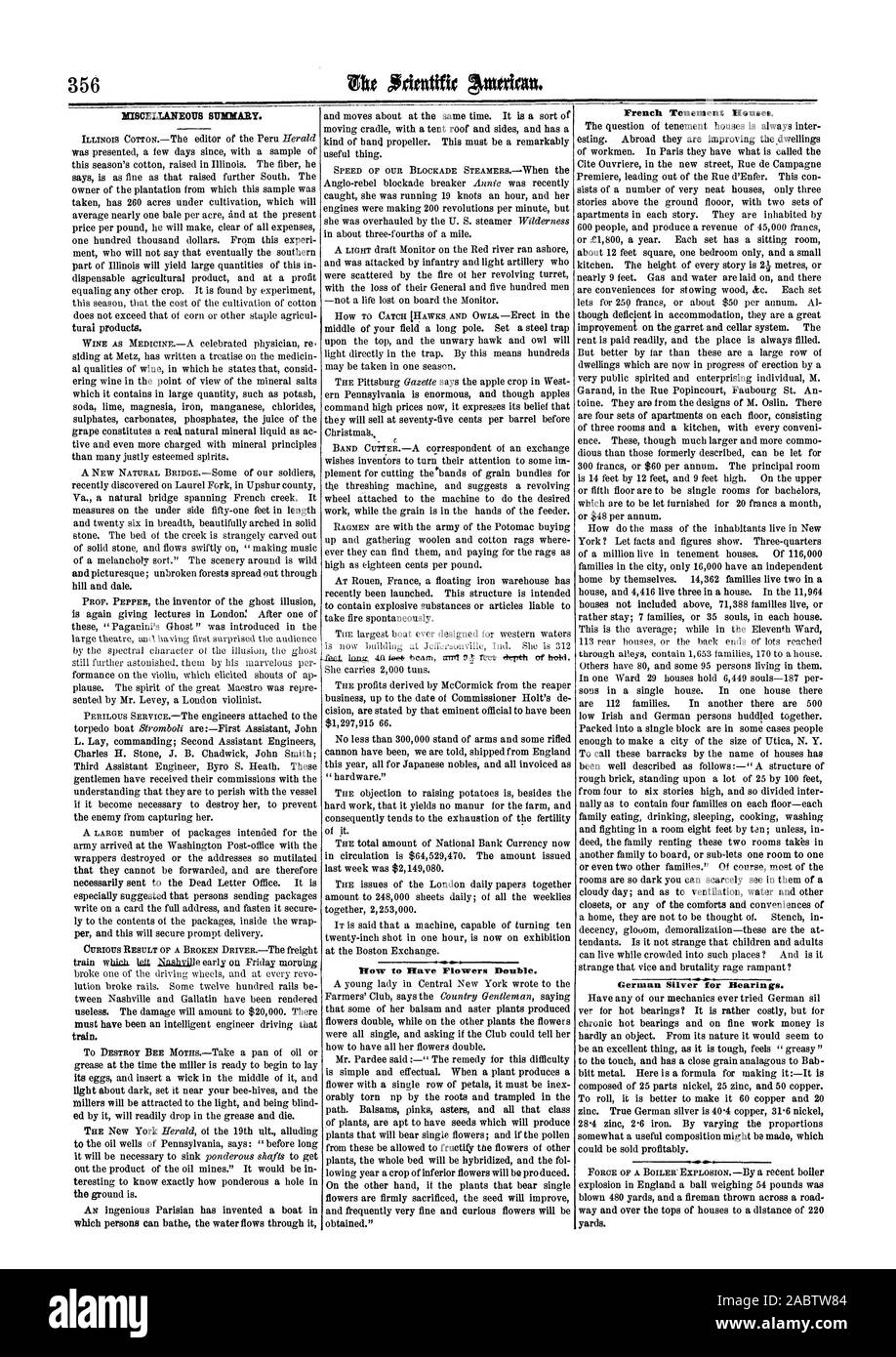 Riepilogo varie. ora hanno fiori doppi. Il francese Tenement Case. Argento tedesco per cuscinetti., Scientific American, 64-12-03 Foto Stock