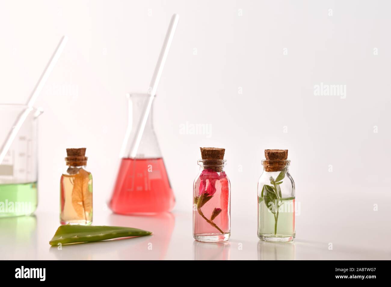 Concetto di preparazione di essenze naturali di vegetali in laboratorio con i vasetti con foglie all'interno e materiale di laboratorio. Vista frontale. Foto Stock