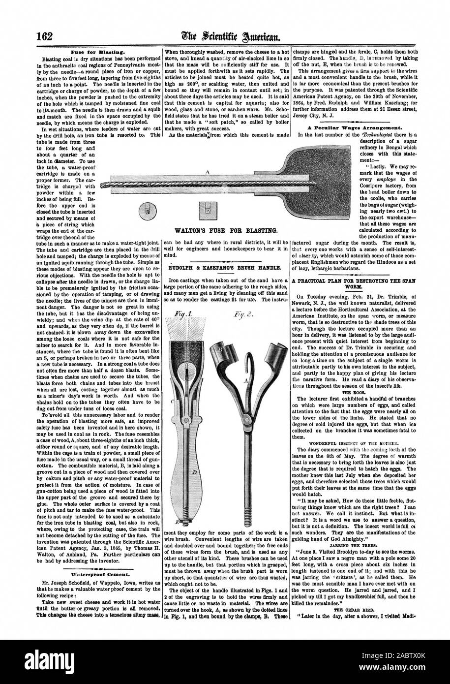 Il fusibile per la sabbiatura. Acqua-prova cemento. VIALTON il fusibile per la sabbiatura. RUDOLPH & KASEFANG il manico dello scopino. Un peculiare disposizione dei salari. Un piano pratico per distruggere la SPAN WORM. TICE EGO. Istinto meraviglioso della madre. Allo scuotimento degli alberi, Scientific American, 65-03-11 Foto Stock