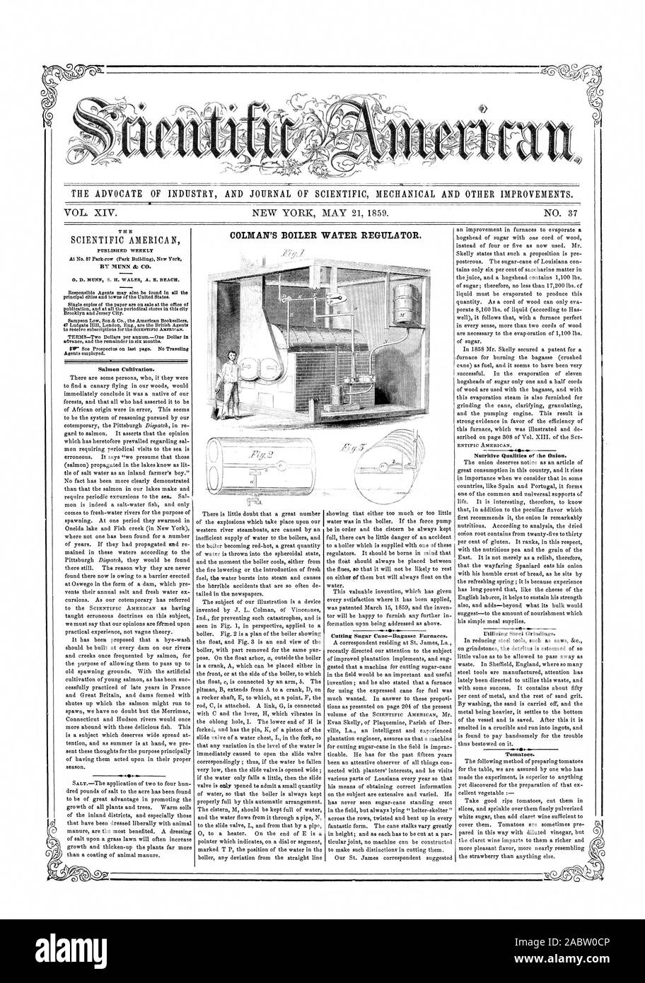 L' AVVOCATO DI INDUSTRIA E UFFICIALE DELLA MECCANICA scientifica e altri miglioramenti. COLMAN'S acqua di caldaia regolatore. Il settimanale pubblicata qualità nutritiva della cipolla. Pomodori., Scientific American, 1859-05-21 Foto Stock