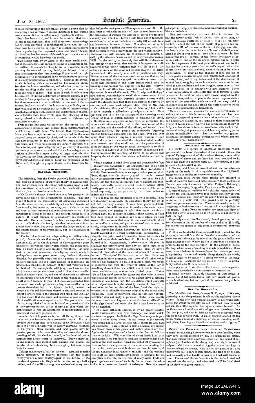 Essi sono diventati allentati da utilizzare è tanto necessaria l'articolo. Il miglior cemento per questo scopo è costituito da una libbra di col ophony (acquistabile presso i droghieri') e otto once di e la cavità del manico viene quindi ad essere riempito con questa miscela. Lo stelo del coltello o forcella viene quindi ad essere riscaldato e inserito nella cavità ; e quando è fredda sarà trovato fissato nella sua piastra con grande tenacia4, Scientific American, 1869-07-10 Foto Stock