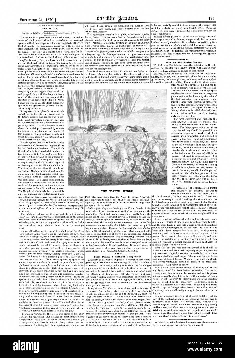 Il ragno. Come Skeletonize foglie. Parigi ha difeso senza polvere da sparo. Il ragno acqua, Scientific American, 1870-09-24 Foto Stock