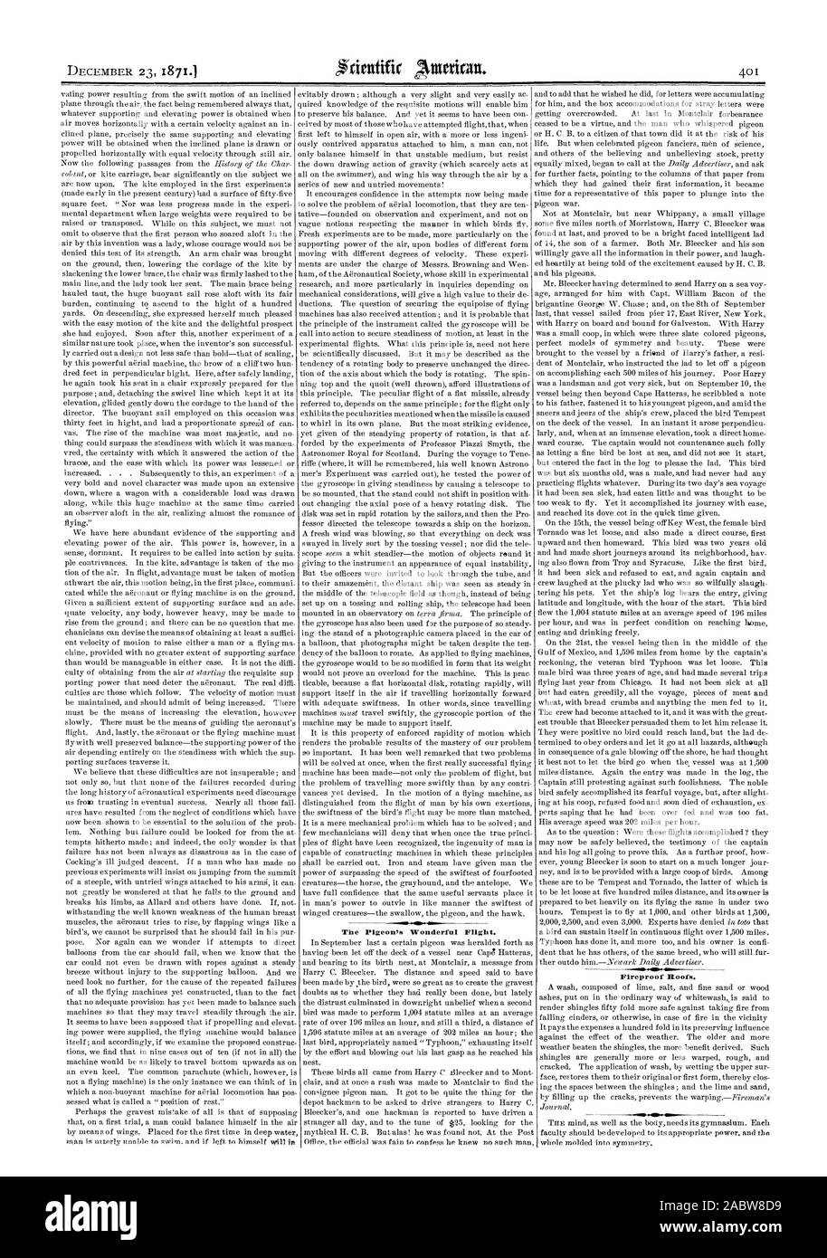 Il piccione è meraviglioso volo. Tetti ignifughi., Scientific American, 1871-12-23 Foto Stock