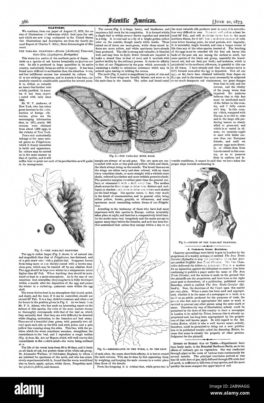 Un senso comune decisione., Scientific American, 1873-06-21 Foto Stock