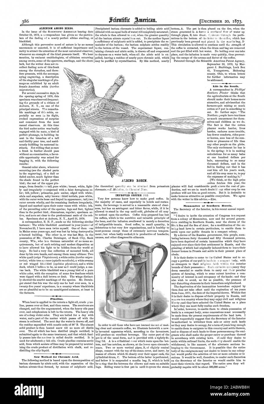 L'albinismo tra gli uccelli. Pinoline. Nuovo metodo di acido cromico. Migliorata la caffettiera. La vita nel Sud., Scientific American, 1873-12-20 Foto Stock