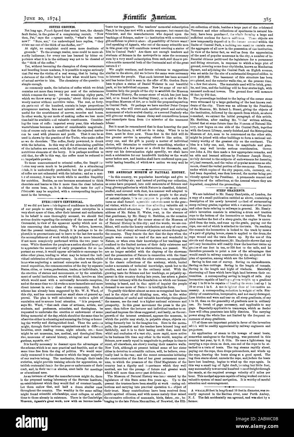 Il caffè macinato. EVERYBODY'S CENTENNIAL. Il Museo Americano di Storia Naturale. . I gradienti ripidi., Scientific American, 1874-06-20 Foto Stock
