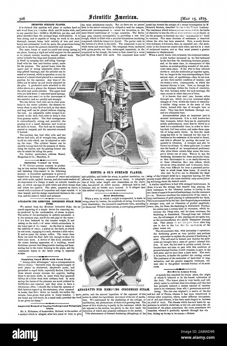 Superficie migliorata la ruspa. Imitando lo smalto sul ferro. A.PPARATNS per la rimozione di bistecca condensata dai tubi. Alimentazione di uccelli da gabbia con cibo verde. Se metodo migliorato di posa IInderground linee del telegrafo. BENTEL & CO. DI SUPERFICIE DI METALLO PIALLA fonoassorbente. Dry Rot in alberi di limone. AP PAR&TIIS per rimuovere il vapore condensato., Scientific American, 1875-05-15 Foto Stock