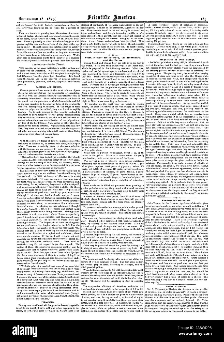 Ricette utili per il negozio di famiglia e l'azienda. Il magnetismo della limatura di ferro. Esplosione di caldaia., Scientific American, 1875-09-18 Foto Stock