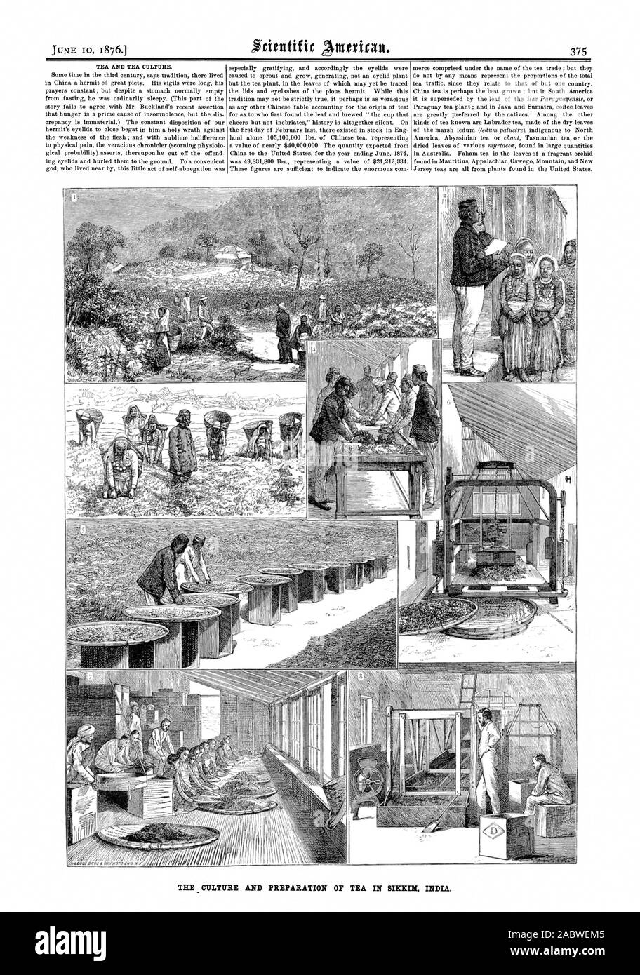 Bollitore per tè e la cultura del tè. La cultura e la preparazione del tè in SIKKIM INDIA., Scientific American, 1876-06-10 Foto Stock