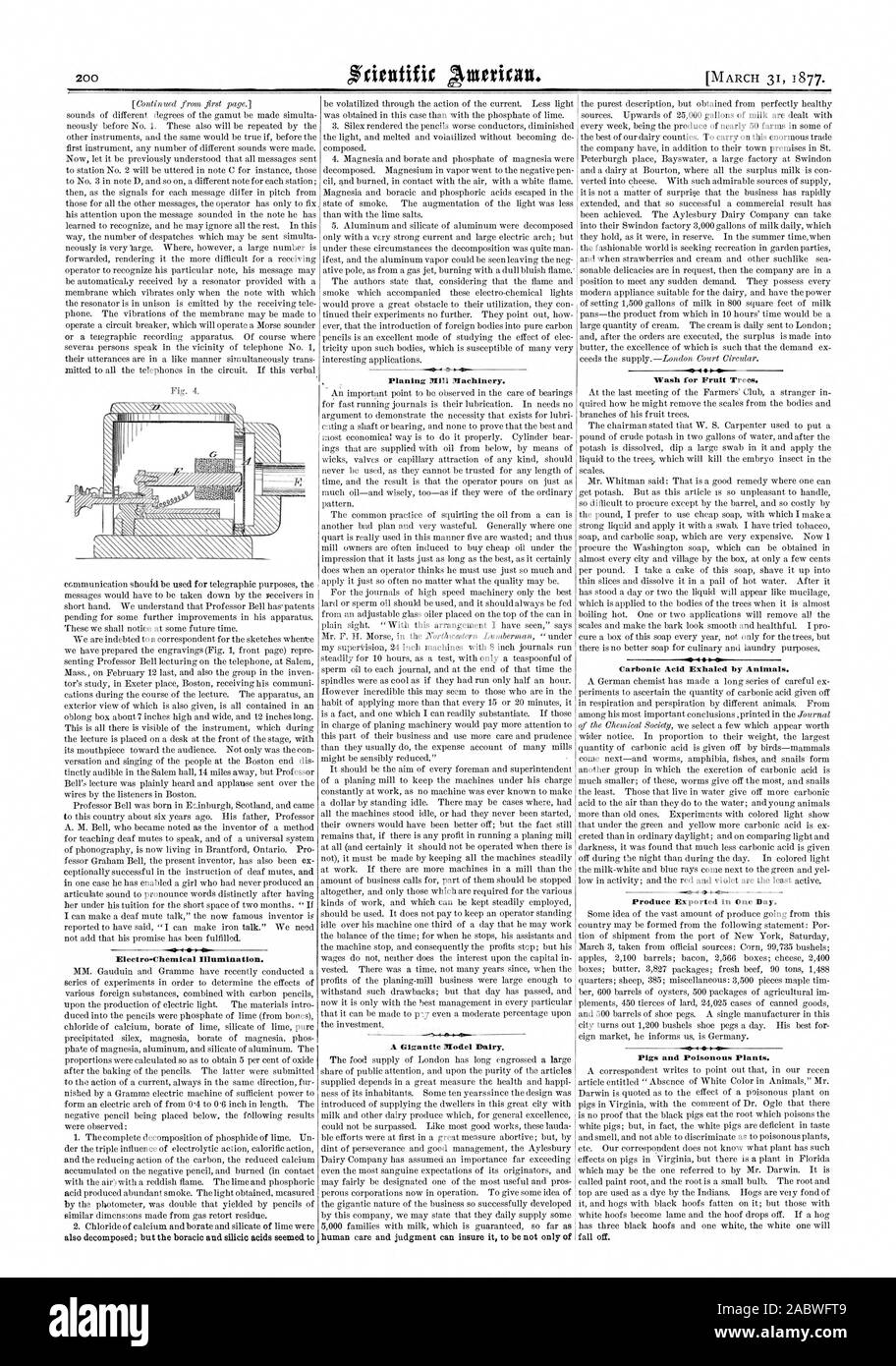 Elettr. Illuminazione chimica. anche scomponibile; ma l'acido boracico e acidi silicici sembrava t mulino di piallatura macchinari. Un gigantesco modello caseificio. cura umana e della sentenza può assicurare di essere non solo di lavaggio per alberi da frutto. .1410 ow acido carbonico espirato da animali. I prodotti esportati in un giorno. Suini e piante velenose. cadere. wee, Scientific American, 1877-03-31 Foto Stock