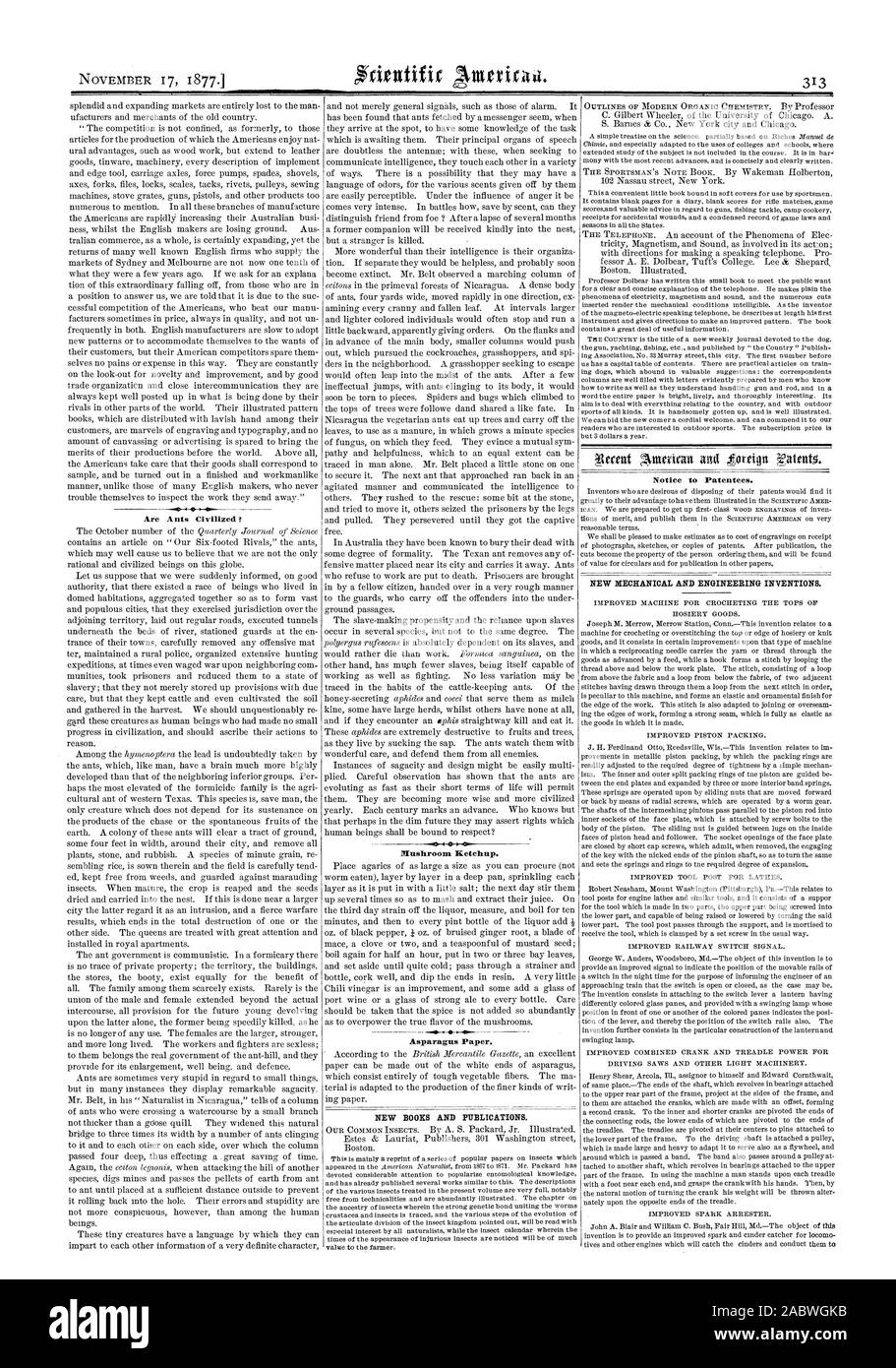 Sono formiche sl civilizzato 4 404 fungo Ketchup. Carta di asparagi. Nuovi libri e pubblicazioni. Avviso ai titolari di brevetti. Nuova Meccanica e Ingegneria invenzioni., Scientific American, 1877-11-17 Foto Stock