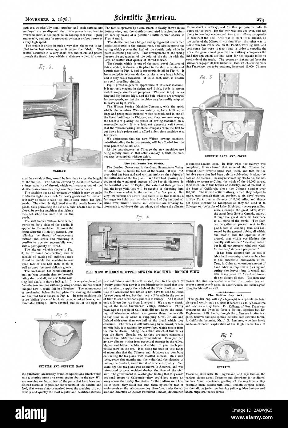 TAKE-UP. Navetta SHUTTLE E GARA. La California di campi di tè. Gara di navetta e il coperchio. Il Golden Cup Quercia. La nuova navetta WILSON MACCHINA DA CUCIRE-BOTT HO& view. Navetta., Scientific American, 1878-11-02 Foto Stock