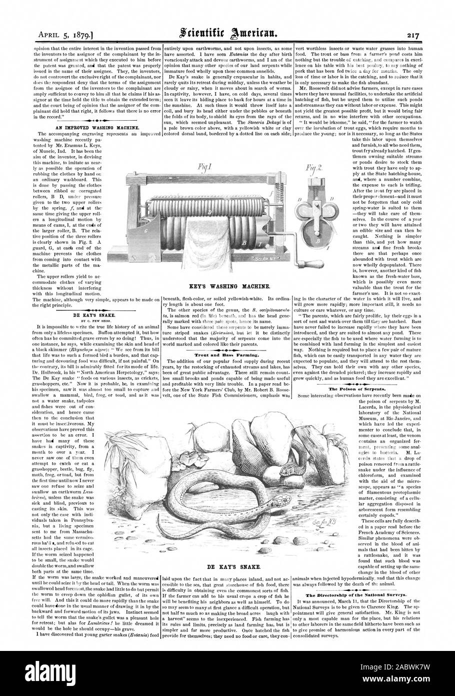 Un lavaggio migliorato MACHI NE. DE KAY SNAKE. Trote e Bass Agricoltura. Il veleno dei serpenti. La direzione delle indagini nazionali. La chiave della macchina di lavaggio. DE KAY SNAKE., Scientific American, 1879-04-05 Foto Stock