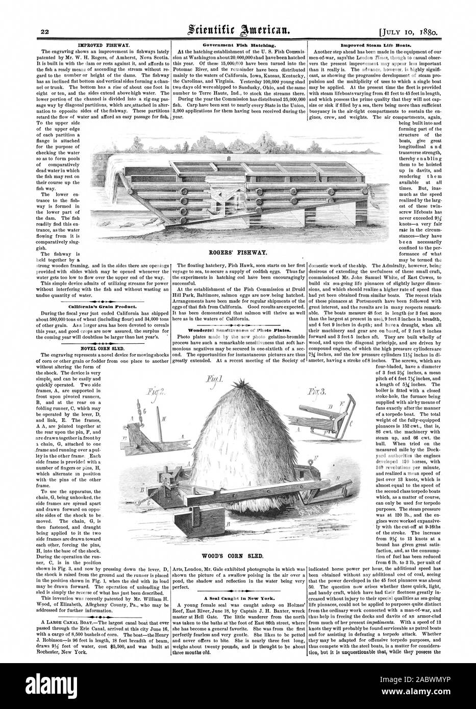Migliore modo di pesce. California's prodotto del grano. Mais romanzo di Bled. Governo di cova di pesce. 4 1 sensibilità meravigliosa foto di piastre. Una guarnizione di tenuta catturati in New York. Migliorata la vita di vapore barche. È ROGERS' MODO DI PESCE. Il legno della slitta di mais., Scientific American, 1880-07-10 Foto Stock