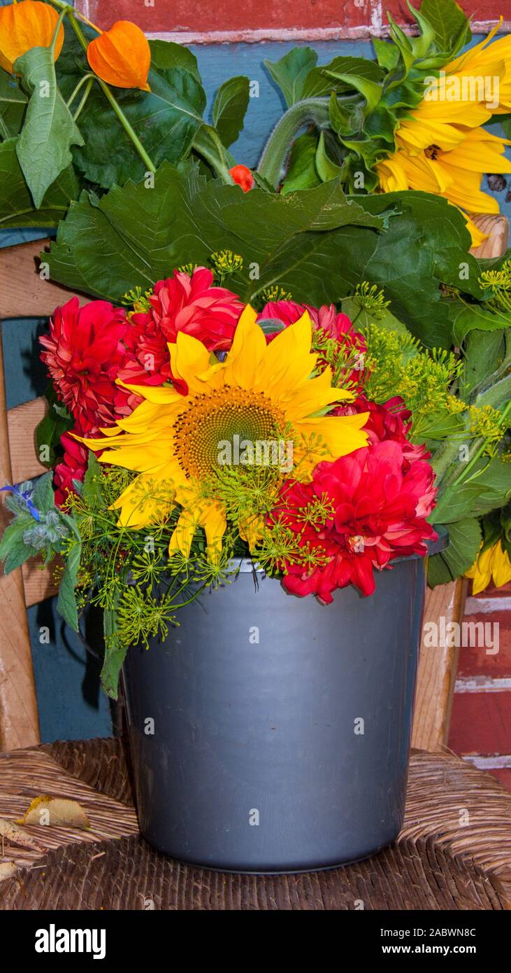 Bunter sommerblumenstrauss, bestehend aus helenium, dahlia und physalis Foto Stock