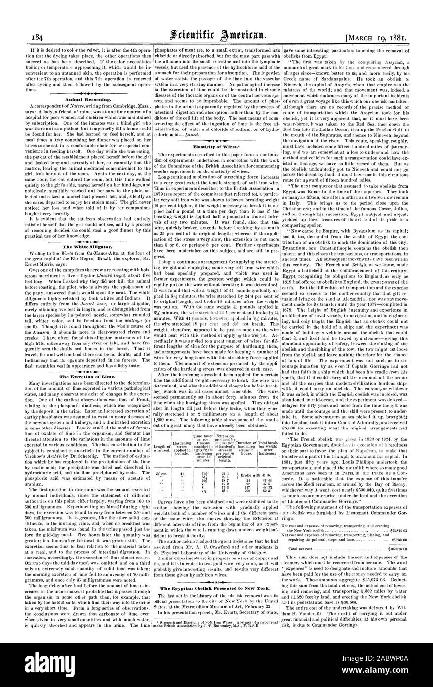 L obelisco Egyptiaii presentato a New York. Il ragionamento di origine animale. Il Coccodrillo bianco. L'escrezione di calce., Scientific American, 1881-03-19 Foto Stock