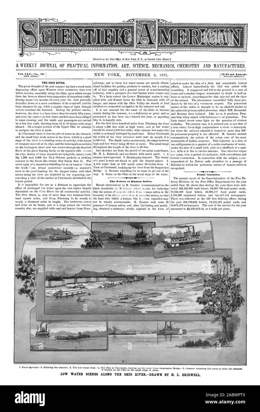 Iscritti presso l'Ufficio Postale di New York N. Y. come seconda questione di classe. Vol. NLVNo. 19.1 Il fiume Ohio. Il veleno del Unman saliva. Acqua bassa scene lungo la OHIO RIVERDRAWN DA H. L. BRIDWELL., Scientific American, 1881-11-05 Foto Stock