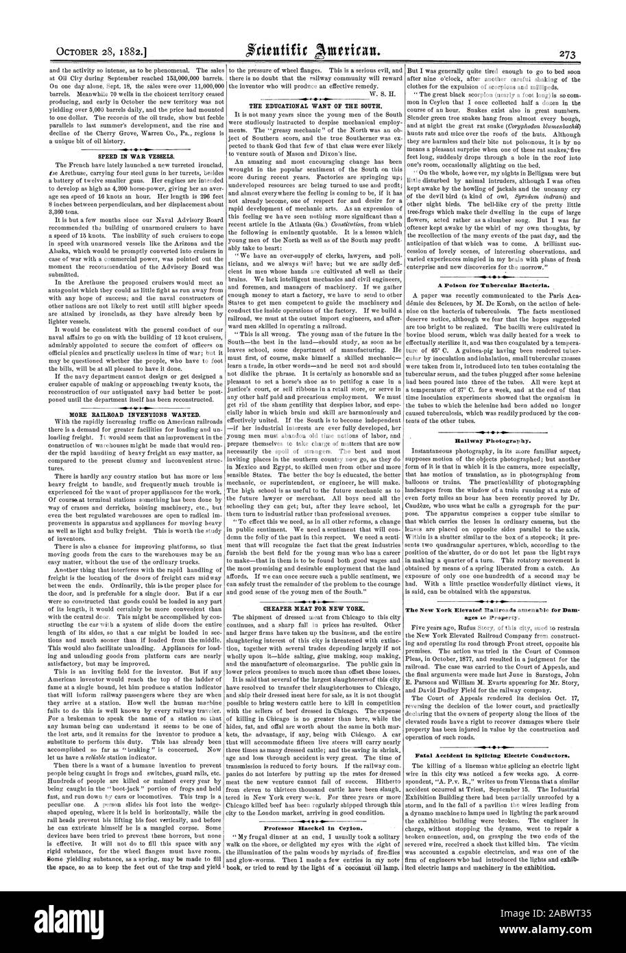 Velocità in navi da guerra. Ulteriori invenzioni Railroad volevamo. La vogliono educativo del sud. La carne PIÙ CONVENIENTE PER NEW YORK. Il Professor Haeckel in Ceylon. VW 4 O' un veleno per i batteri tubercolari. Fotografia ferroviaria. età alla proprietà. Incidente mortale a giunzione di conduttori elettrici., Scientific American, 1882-10-28 Foto Stock