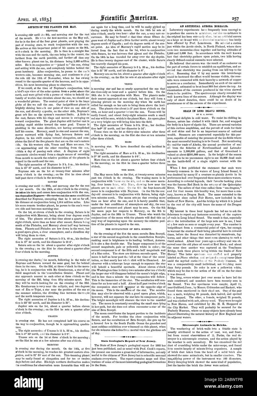 Gli aspetti dei pianeti per fieno. Geologo di stato nella sua relazione del New Jersey. Un'artificiale aurora boreale. Le guarnizioni nel Long Island Sound. Da H. C. HOVEY. Animali al microscopio in mattoni, Scientific American, 1883-04-28 Foto Stock