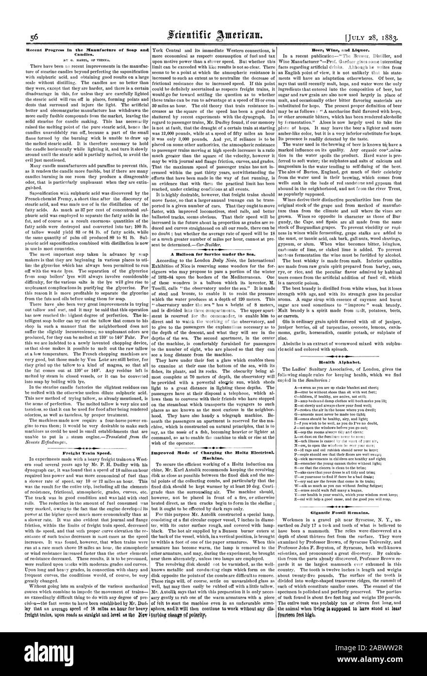 I recenti progressi nella fabbricazione di saponi e candele. Da G. HAIM DI VIENNA. Modalità migliorata di carica della Holtz elettrico. Macchina. Birra e vino liquore. Alfabeto della salute. Gigantesco resti fossili., Scientific American, 1883-07-28 Foto Stock