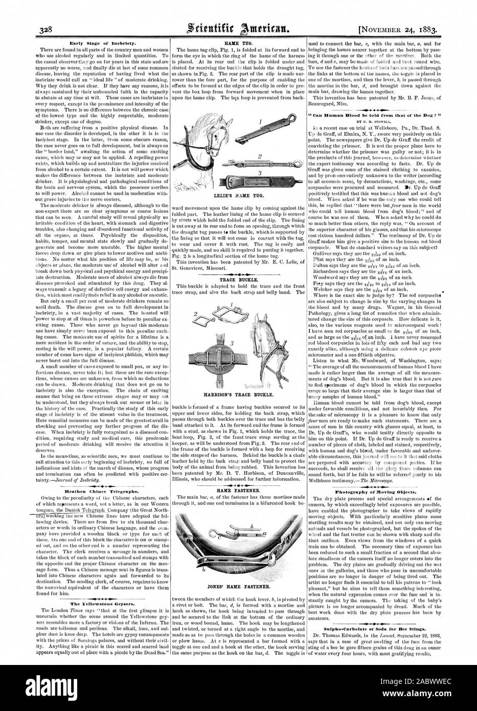 Inizio della fase di Inebriety. Nazioni Chinee Telegraphs. Il geyser di Yellowstone. LELIE Nasello del rimorchiatore. 1 er fibbia di traccia. Dispositivo di fissaggio del nasello. JONES FISSAGGIO DEL NASELLO. -.0-4-0÷ Fotografia di oggetti in movimento. Sulpho-Carbolate di soda per punture d api., Scientific American, 1883-11-24 Foto Stock