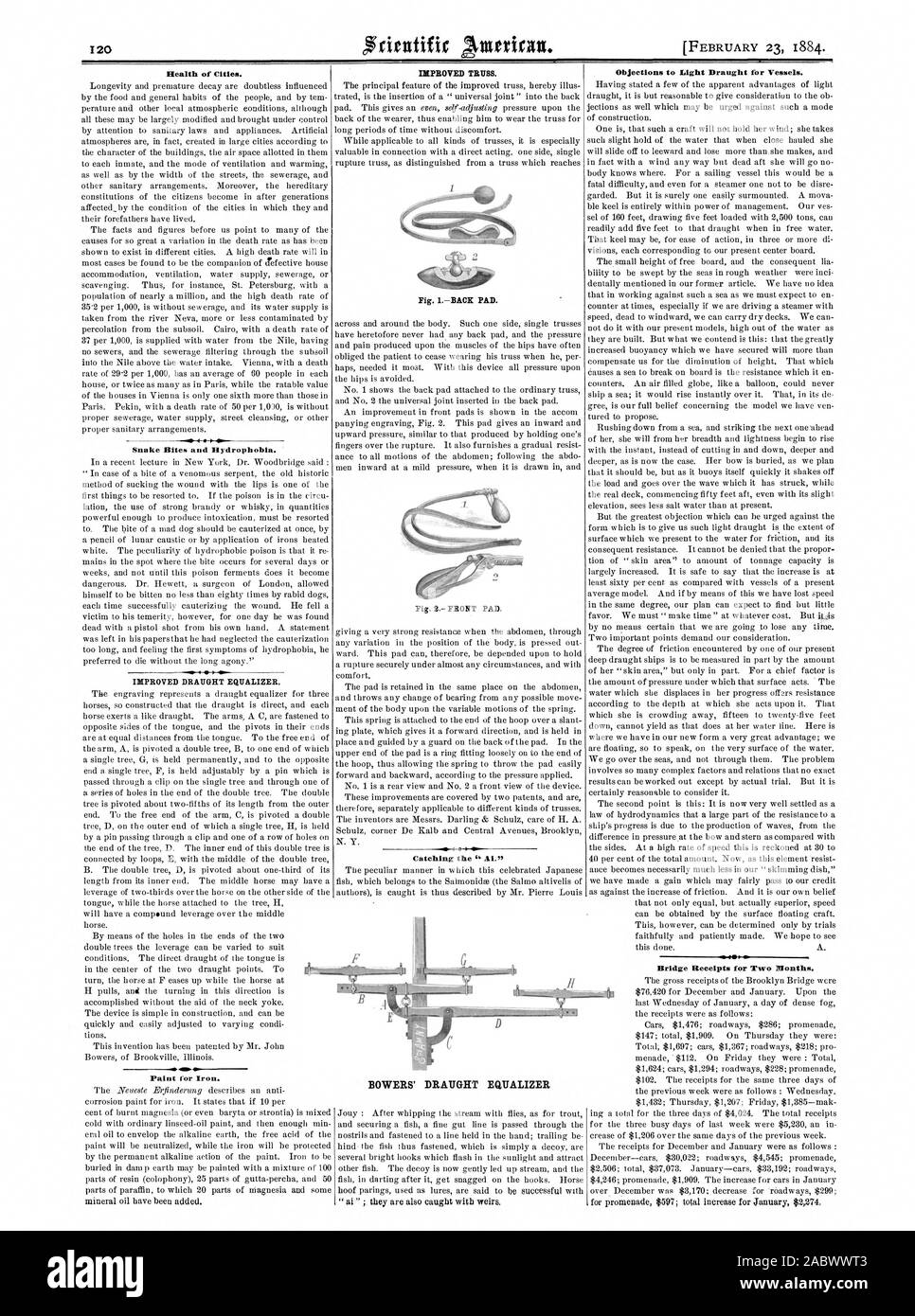Febbraio 23 1884. Salute della città. I morsi di serpente e idrofobia. Migliore progetto di equalizzatore. Vernice per ferro da stiro. Traliccio migliorata. Fig. IBACK PAD. Fig. 2 pastiglia anteriore. Cattura il 'Al'. obiezioni al progetto di luce per le navi. Ponte delle ricevute per due mesi. BOWERS bozza dell' equalizzatore, Scientific American, 1884-02-23 Foto Stock