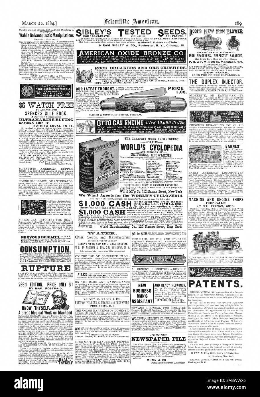 Governi Storia città d una Città o legge la storia del mondo orticoltura. Il commercio mondiale del gamba Co. 122 Nassau Street New York desidera che gli agenti per il mondo dell'CYCLOk EDIA ABBIAMO IN CONTANTI 1000 NNT M Città Città e manifatture TUBO DI BREVETTO IND pista bene il sistema. La provvidenza. Esso. I. ASSISTANT E PRONTO RECKONER Boston Bass. Perfetto FILE DI GIORNALE MITNN & CO. La silenziosità di ruote di gomma 6 dollari guardare gratuitamente SPENCE IL LIBRO BLU blu ultramarino niente di simile. NOTHINC uguale ad esso. SCIENTIFIC AMERICAN morbida pennino TEM WILICINSON andare. Il consumo. Rottura 266th edizione. Prezzo solo $1 tramite posta postpagato. Conosci te stesso. Un grande Foto Stock