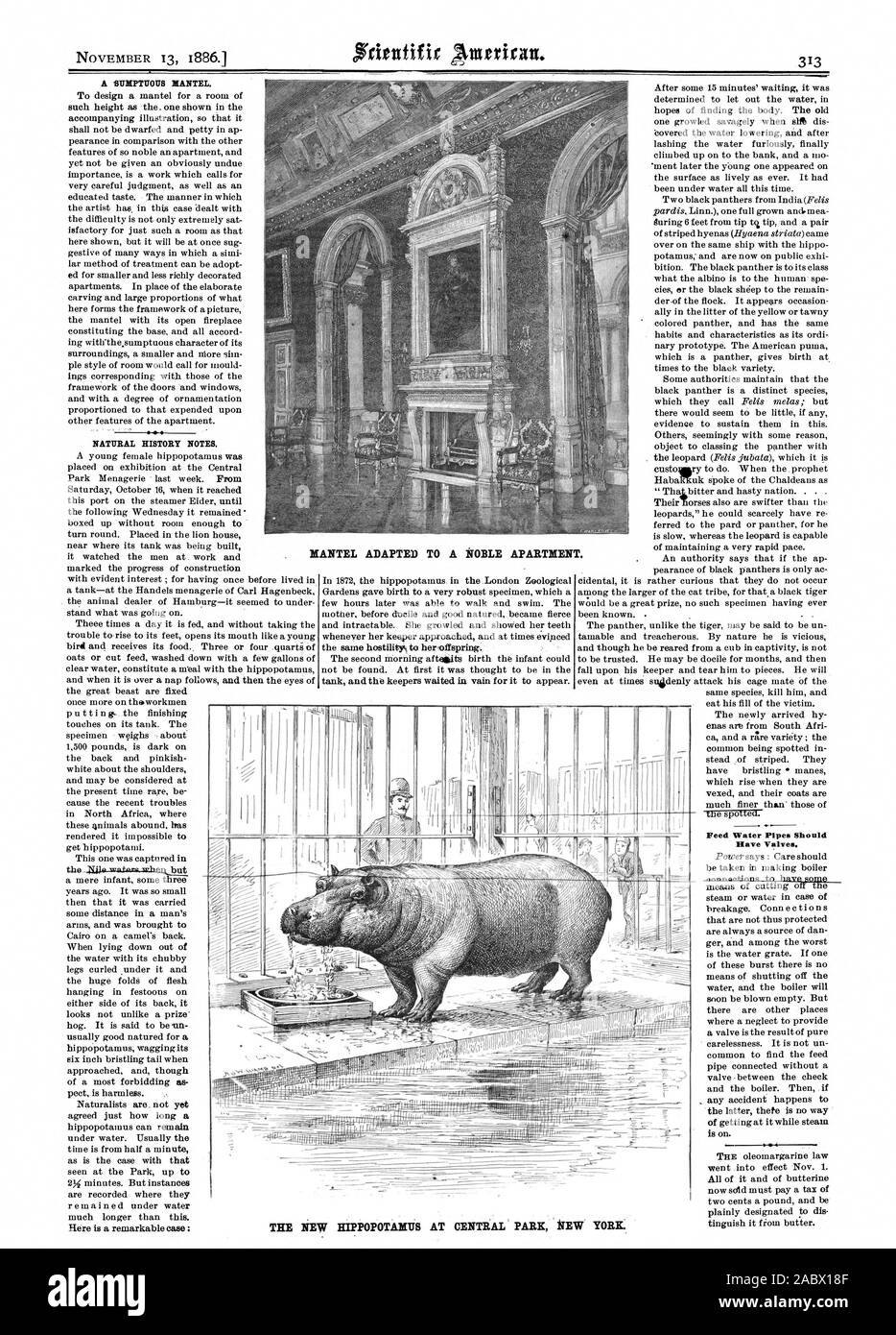MANTEL adattato ad un appartamento nobile. L'acqua di alimentazione tubi dovrebbero avere delle valvole. 4 7-17. ; . Il nuovo ippopotamo A CENTRAL PARK fiEW YORK, Scientific American, 1886-11-13 Foto Stock