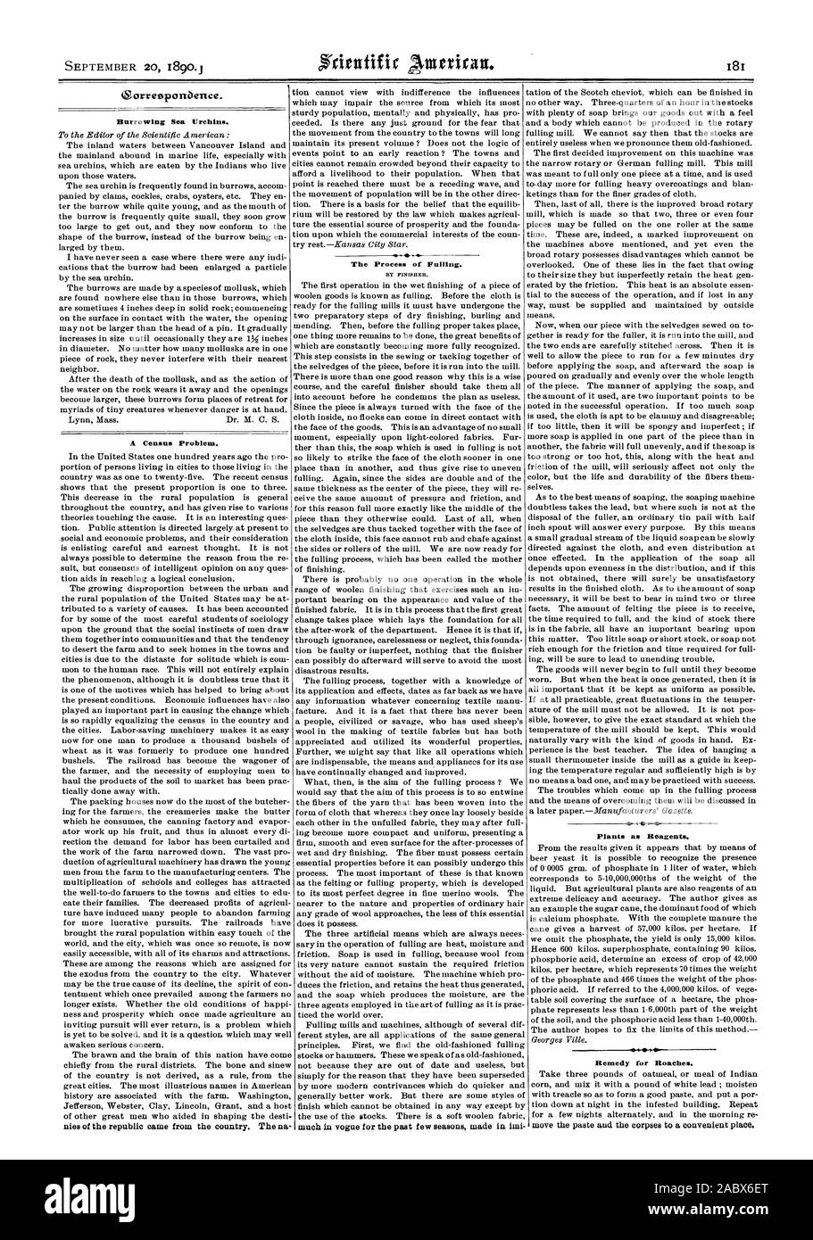 Scavando ricci di mare. Un problema di censimento. Il processo di follatura. Mediante il finisher. Piante come reagenti. Remedy per scarafaggi, Scientific American, 1890-09-20 Foto Stock