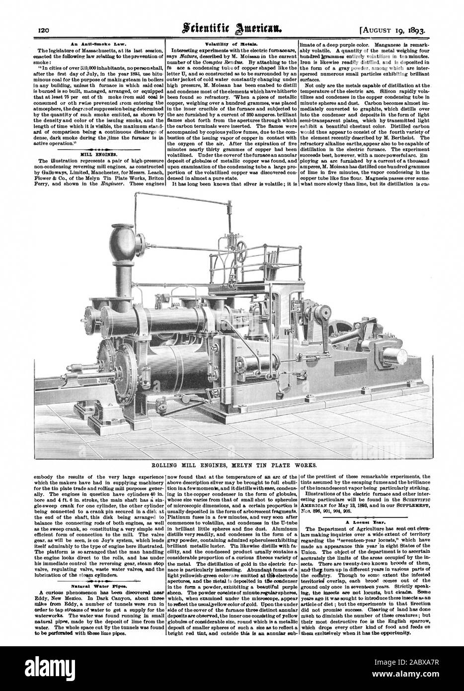 Sovrapposizione territoriei ogni covata viene fuori della terra solo una volta in diciassette anni. Rigorosamente parlare non promettono successo. Eliminazione della terra ha fatto math per diminuire il numero di queste creature ; ma che scende ogni altro tipo di cibo e feed su di essi esclusivamente quando ha l'occasione., Scientific American, 1893-08-19 Foto Stock