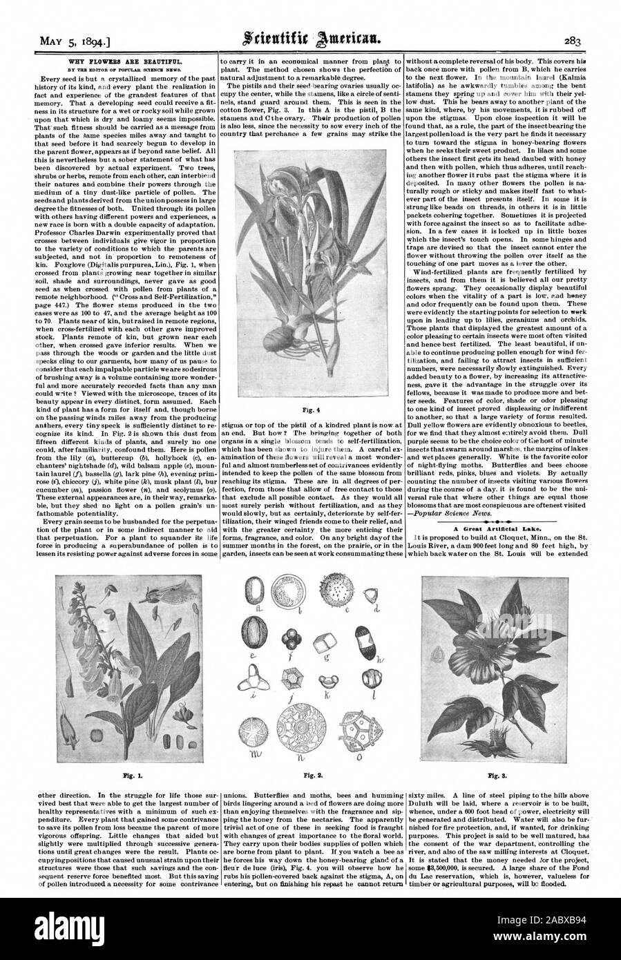 Perché i fiori sono belli. Da EDITOR THZ di Popular Science news. Un grande lago artificiale. Fig. 1. Fig. 3., Scientific American, 1894-05-05 Foto Stock