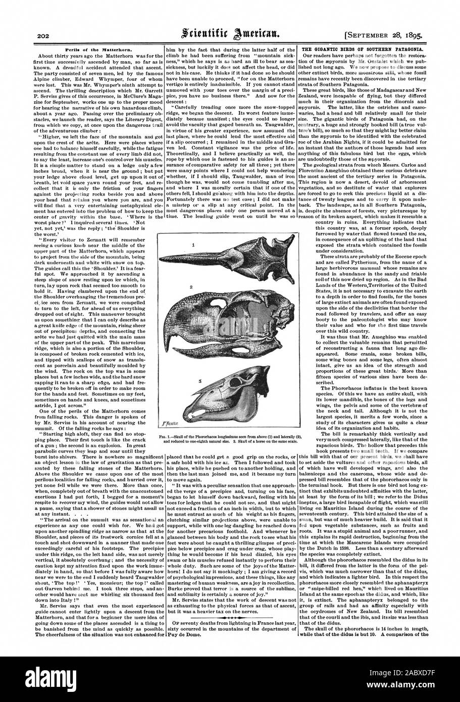 Le insidie del Cervino. Il gigantesco Uccelli della Patagonia Meridionale., Scientific American, 1895-09-28 Foto Stock