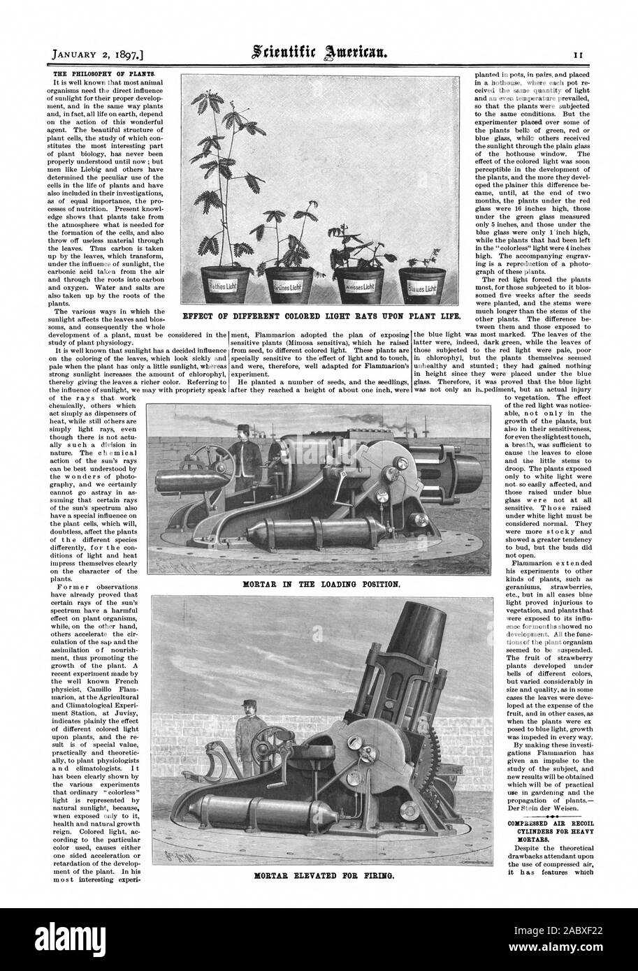 La filosofia di piante. Aria compressa cilindri di rinculo per pesanti bombarde. Effetto di colori diversi raggi di luce sulla vita vegetale. Mortaio in posizione di carico. Mortaio elevati per lo sparo., Scientific American, 1897-01-02 Foto Stock