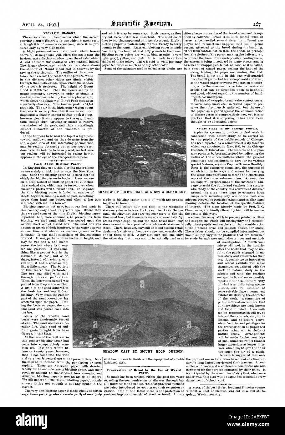 Il 24 aprile 1897. MOUNTAIN SHADOWS. Fatti su carta assorbente. stracci. Alcuni gradi più povere sono realizzate in parte della pasta di legno la conservazione del pane mediante l'uso di carta oleata. tale importante articolo di alimenti come pane. Nella nostra quiam nello Stato di Washington di recente. Ombra del monte Cofano Oregon. Lo studio della natura nelle scuole di Chicago., Scientific American, 1897-04-24 Foto Stock