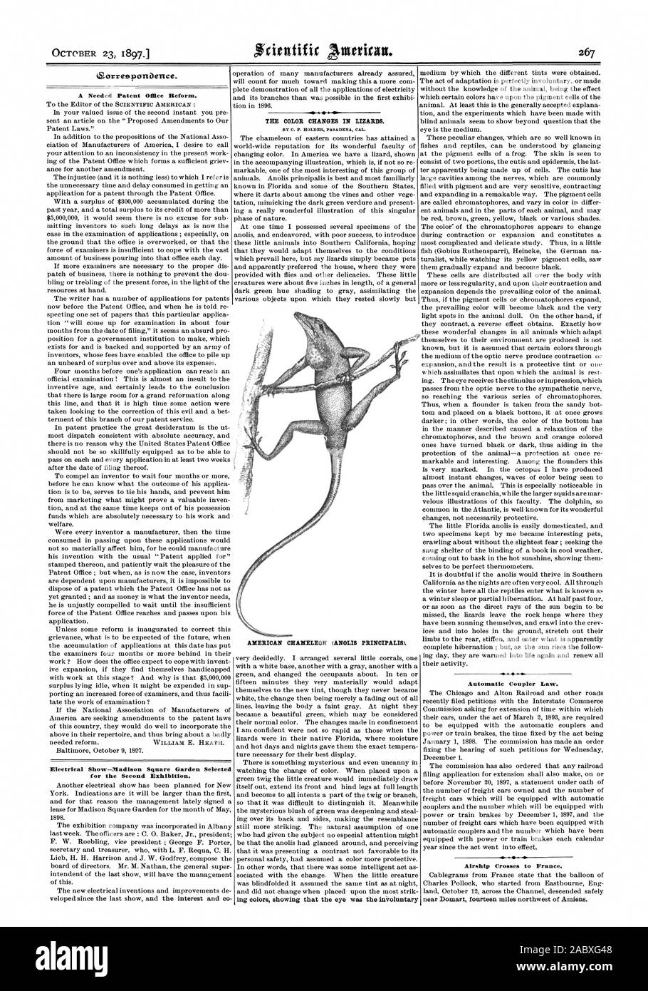 La corrispondenza. Un brevetto necessaria riforma ufficio. Mostra elettrico-Pladison Square Garden selezionati per la seconda esposizione. Il colore cambia in lucertole. Da C. P. TITOLARE PASADENA CAL. AMERICAN CHAMELEON (ANOLIS PRINCIPALIS). Attacco automatico legge. Dirigibile attraversa la Francia. vicino Domart quattordici miglia a nord-ovest di Amiens, Scientific American, 1897-10-23 Foto Stock