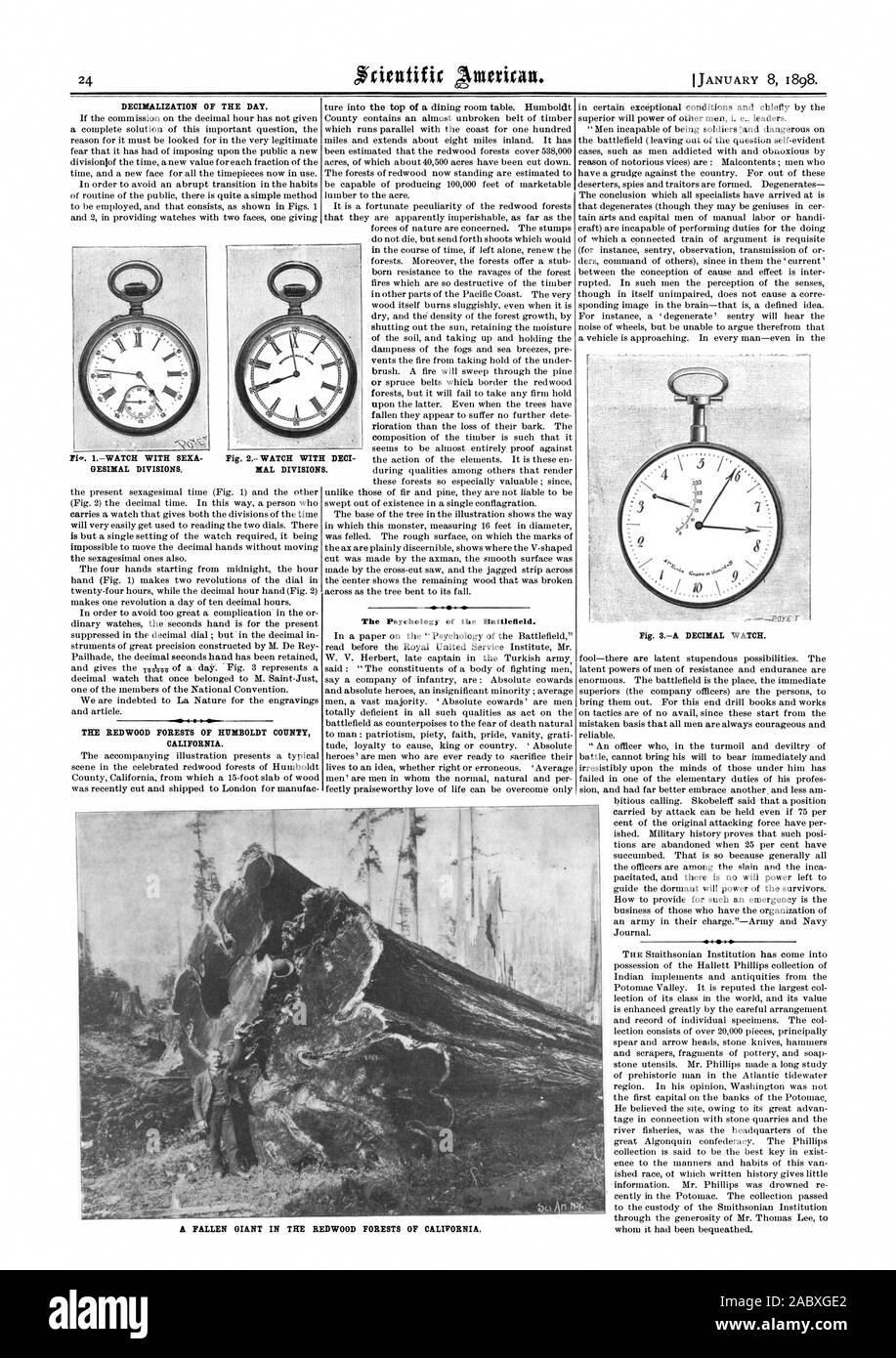 Il Redwood foreste di Humboldt County in California. La Psicologia del campo di battaglia. MAL divisioni. Un gigante caduto nelle foreste di sequoia della California., Scientific American, 1898-01-08 Foto Stock