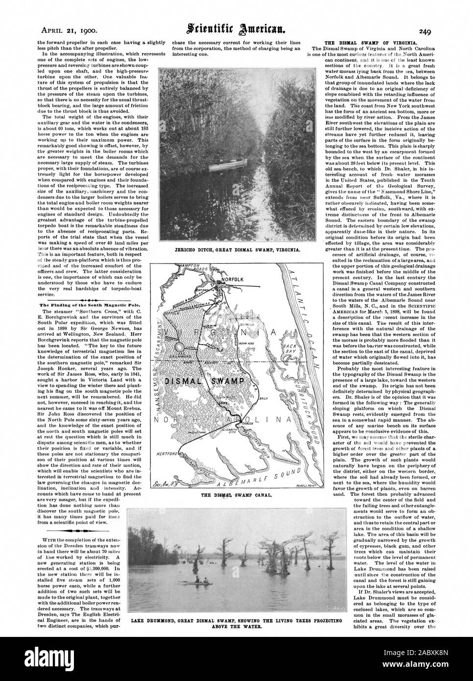 Il Fosso di Gerico Great Dismal SWAMP VIRGINIA. La palude DISKI CANAL. Il ritrovamento del polo magnetico Sud. Il triste palude della Virginia. Il lago di DRUMMOND GREAT DISMAL SWAMP che mostra la alberi viventi sporgente al di sopra dell'acqua., Scientific American, 1900-04-21 Foto Stock