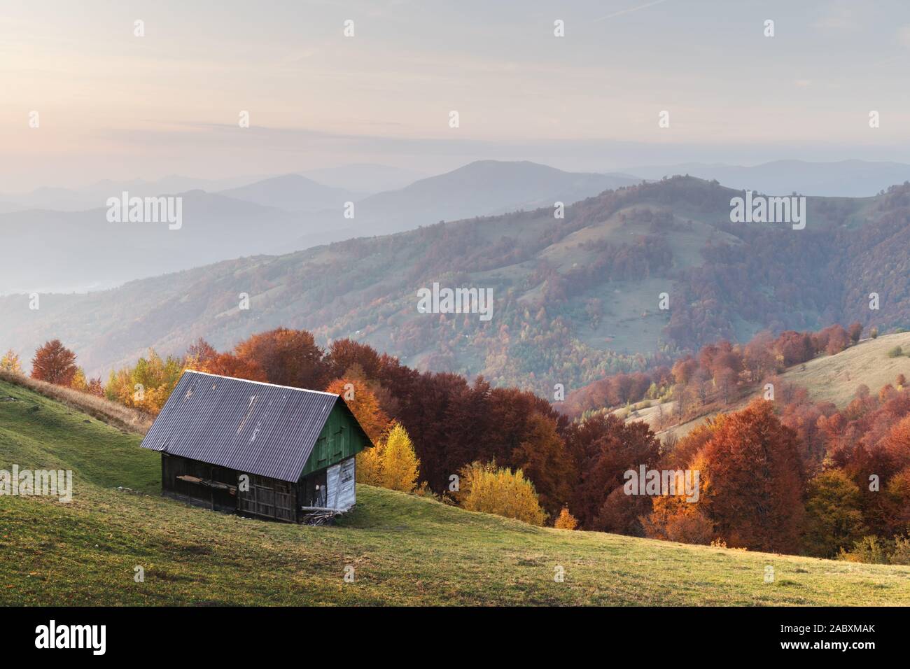 Autunno pittoresco prato con casa in legno e il bosco di faggi rossi alberi nelle montagne dei Carpazi, Ucraina. Fotografia di paesaggi Foto Stock