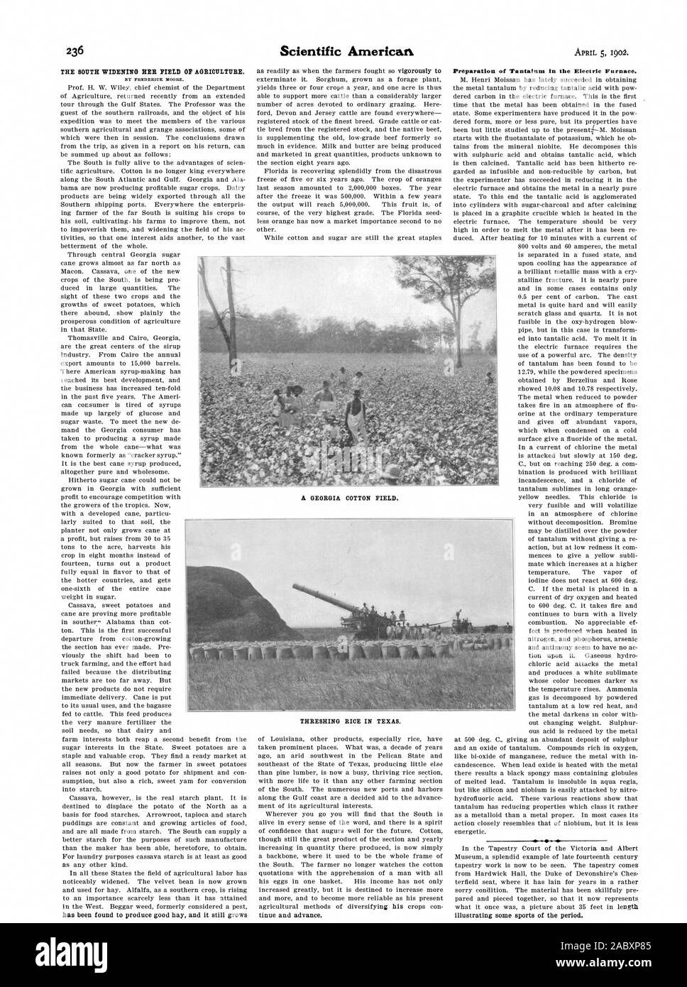 Il sud ampliando la sua ELD OP l'agricoltura. Da FREDERICKMOORE. La trebbiatura del riso in Texas., Scientific American, 1902-04-05 Foto Stock