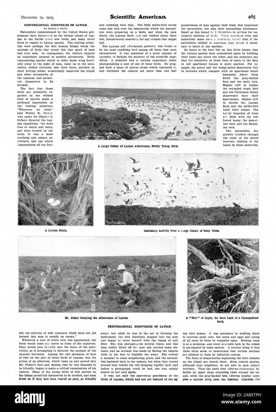 Scientific American, 1903-12-19 Foto Stock