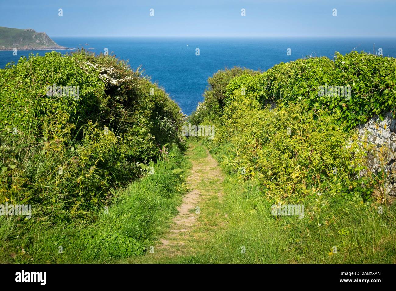 Vicolo del paese il sentiero che conduce al mare ad est Prawle, Devon Foto Stock